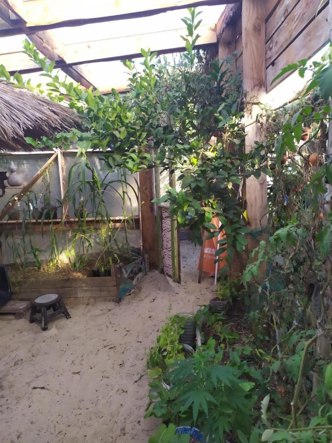 ברה דה וליסס Casa Candombe Y Mar מראה חיצוני תמונה
