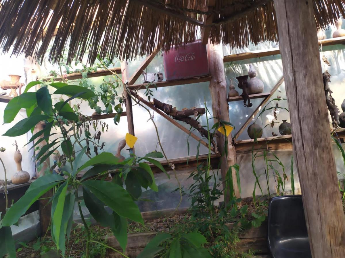 ברה דה וליסס Casa Candombe Y Mar מראה חיצוני תמונה